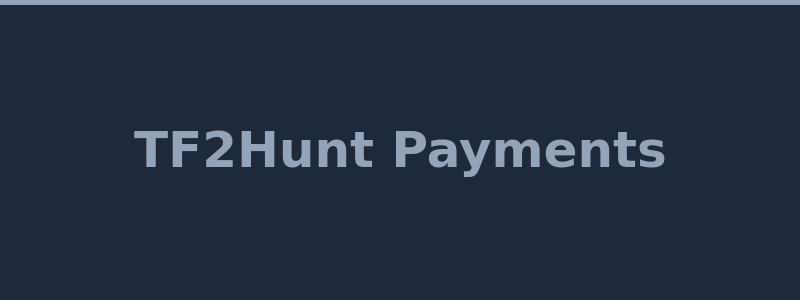 Available deposit and withdrawal methods at TF2Hunt including TF2 skins and crypto