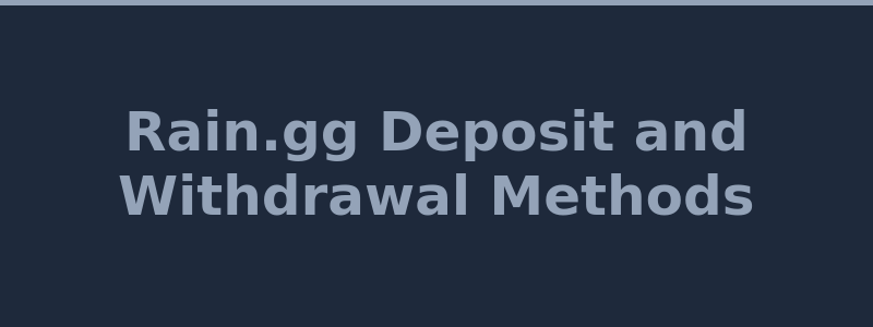 Available deposit and withdrawal methods at Rain.gg including crypto and CS2 skins 2026