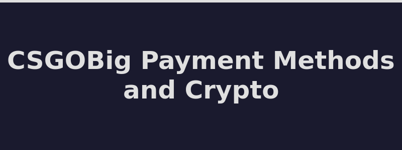 Available deposit and withdrawal methods at CSGOBig including Bitcoin and CS2 skins 2026
