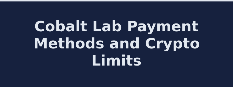 Available deposit and withdrawal methods at Cobalt Lab showing crypto and skin limits 2026