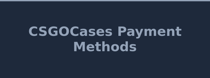 Available deposit and withdrawal methods at CSGOCases including card and skins