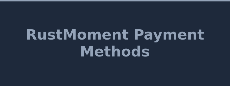 Available payment methods at RustMoment including skins, crypto, Visa and Mastercard 2026