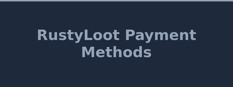 Available payment methods including Bitcoin and CS2 skins
