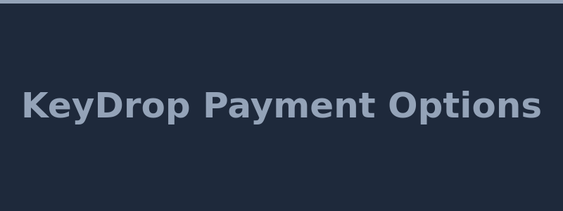Available deposit and withdrawal methods at KeyDrop including CS2 skins