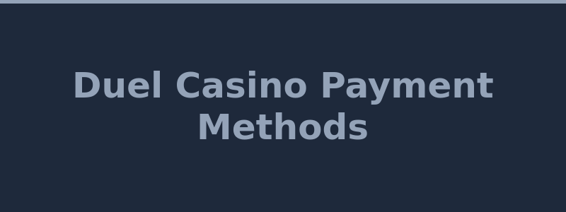 Available deposit and withdrawal methods at Duel Casino including Bitcoin and Ethereum 2026