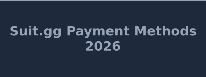 Available deposit and withdrawal methods at Suit.gg 2026