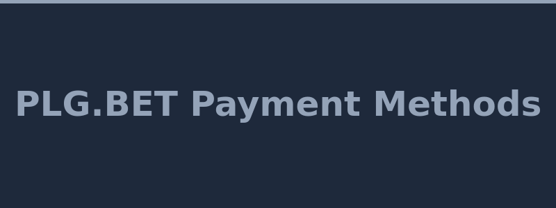 PLG.BET deposit and withdrawal methods including Visa Mastercard Bitcoin Ethereum Litecoin and CS2 skins 2026